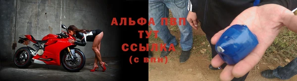 кокс Арсеньев