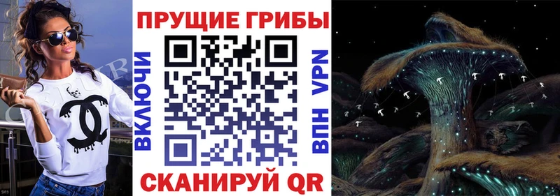 Псилоцибиновые грибы мухоморы  МЕГА ONION  Спас-Деменск 